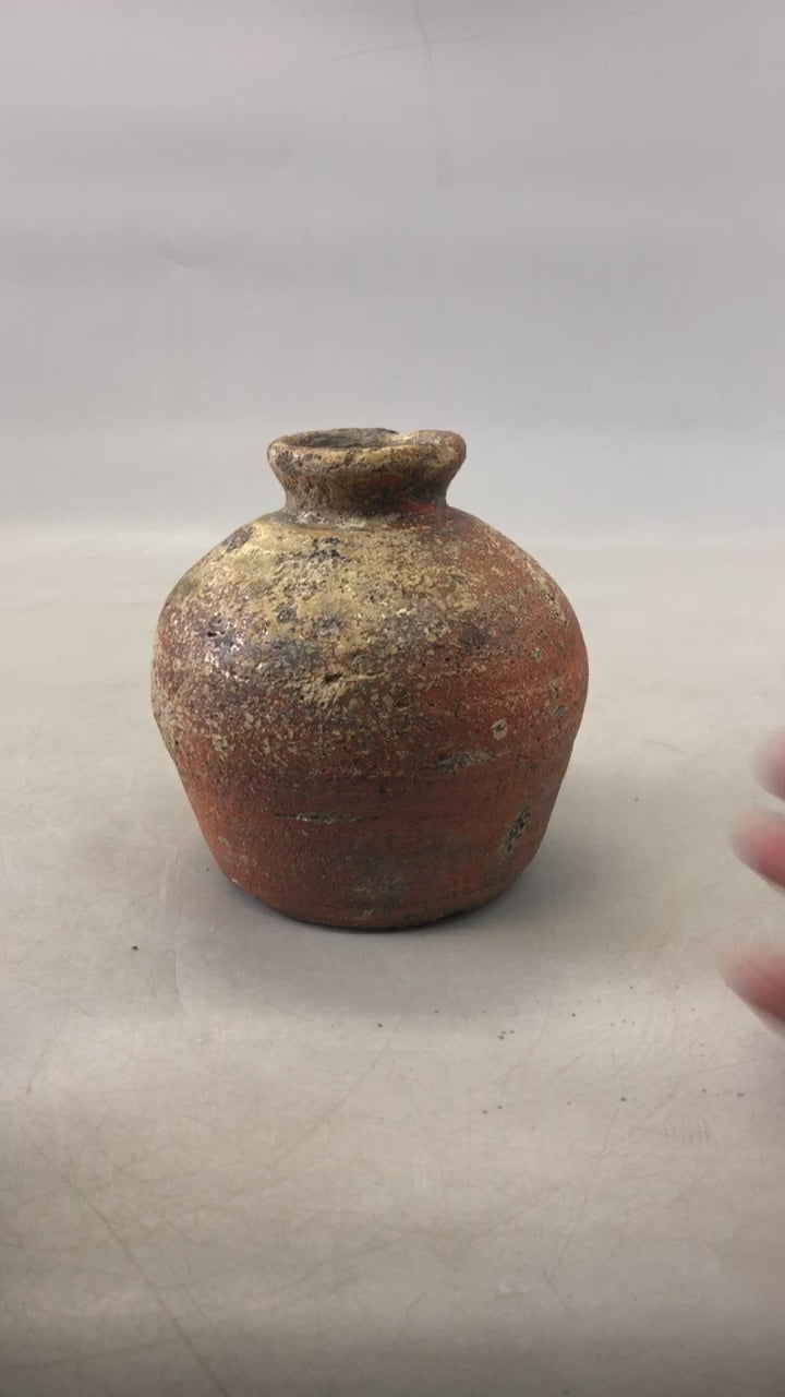 Y6852 [VIDEO] VASE Shigaraki-ware box Japan antique pot ikebana