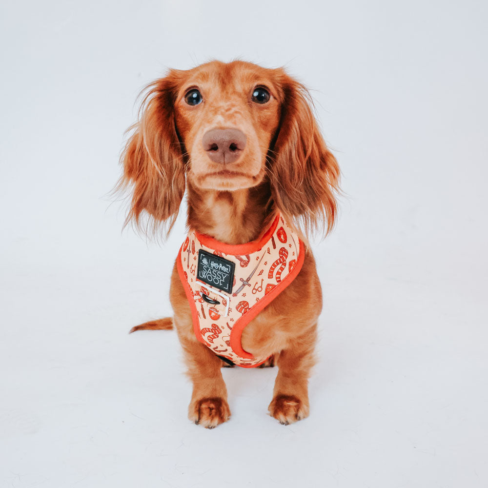 ハッフルパフ ドッグ ハーネス Sassy Woofコラボレーション｜ハリー