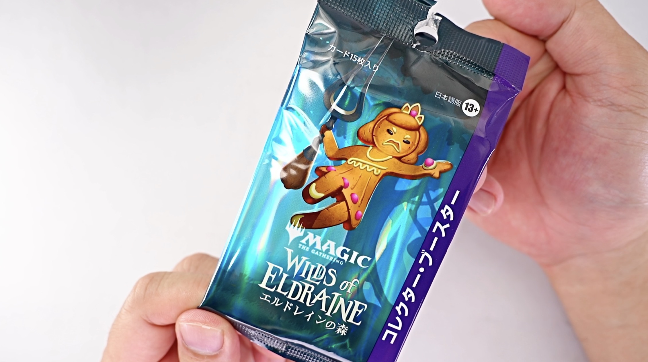 マジック・ザ・ギャザリング MTG エルドレインの森 セットブースター