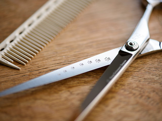 ドッグ シザーズ ジャパン ソラ(Sora)平刃ストレートシザー（straight