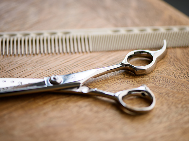 ドッグ シザーズ ジャパン ソラ(Sora)平刃ストレートシザー（straight