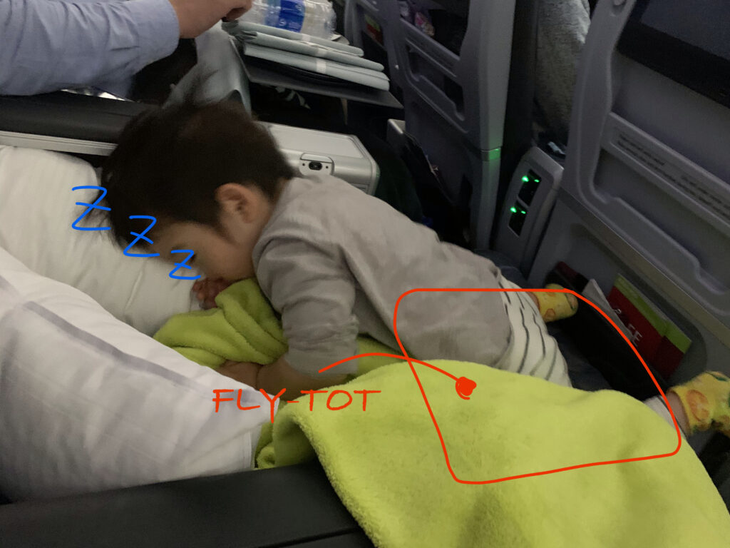 FLYTOT 飛行機用 エアクッション フライトット飛行機 旅行