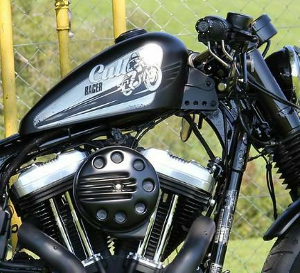 XLH883 タンク ピンスト フレア XLH883 タンクピンストフレア