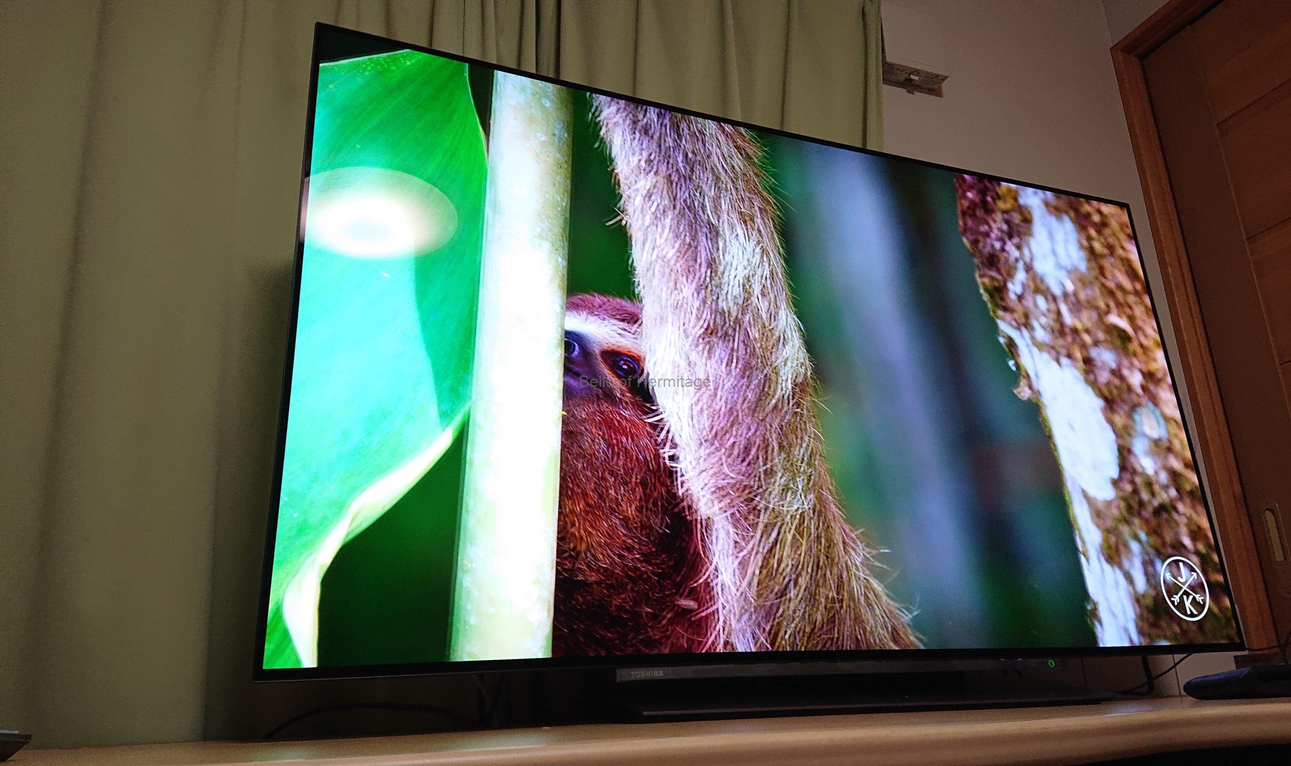 りゅーき 東芝 55型 有機ELテレビ REGZA 55X830 2019 東芝 REGZA