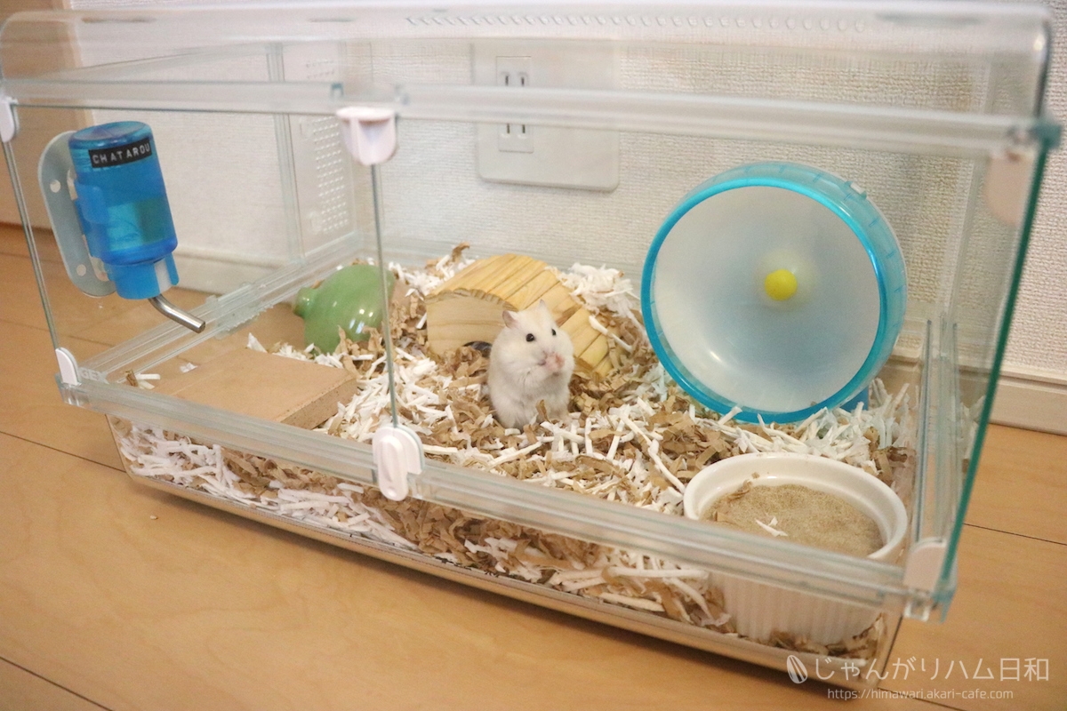 ハムスター 飼育セットまとめ売り ハーモニー450 Amazon | ジェックス