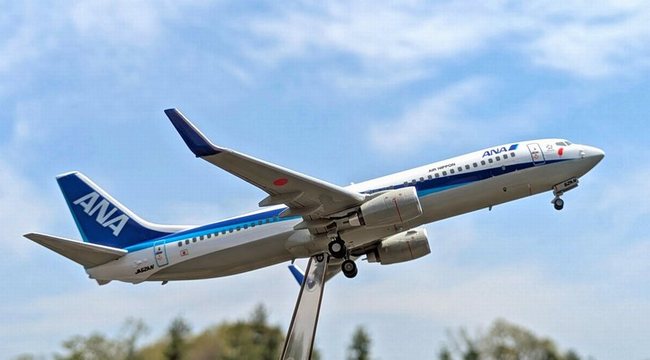 そ*う様 超レア！ANA B737-800 1/200 JA86AN IOJ 後 そ*