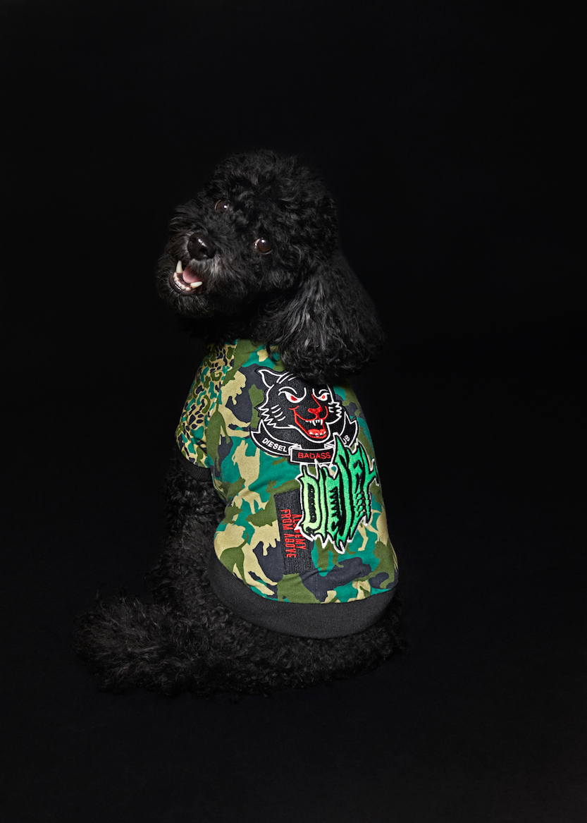 DIESEL パンクやロック盛り込んだ初のドッグウェアコレクション発売