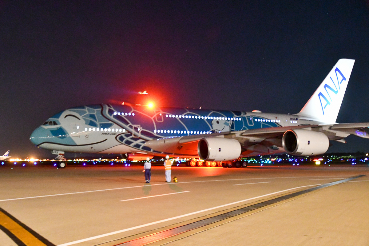 ANA フライングホヌ 2号機 エメラルド 1/500 ANA公式