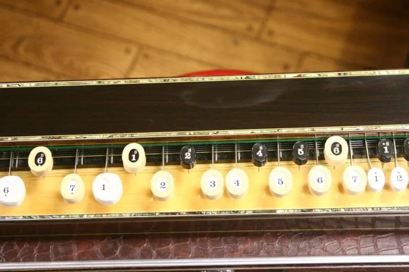 菊八重 F28HS | HiP-Sound秦野本店