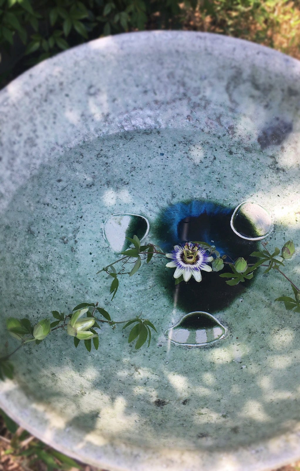 辻村唯 自然釉 豆皿 小皿 辻村史朗 辻村塊 辻村唯 自然釉 豆皿 小皿