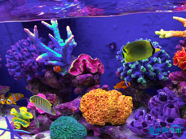 プラグ穴付き アク抜き不要人工ライブロック 海水水槽用 レプリカ