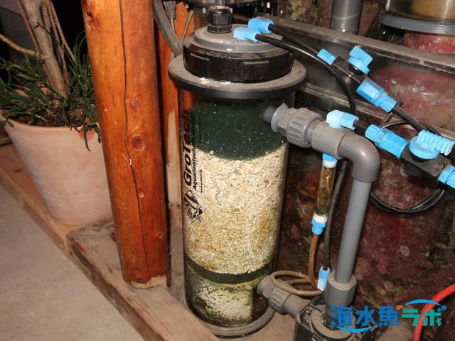 カルシウムリアクターの仕組み・使用方法・注意点 - 海水魚ラボ