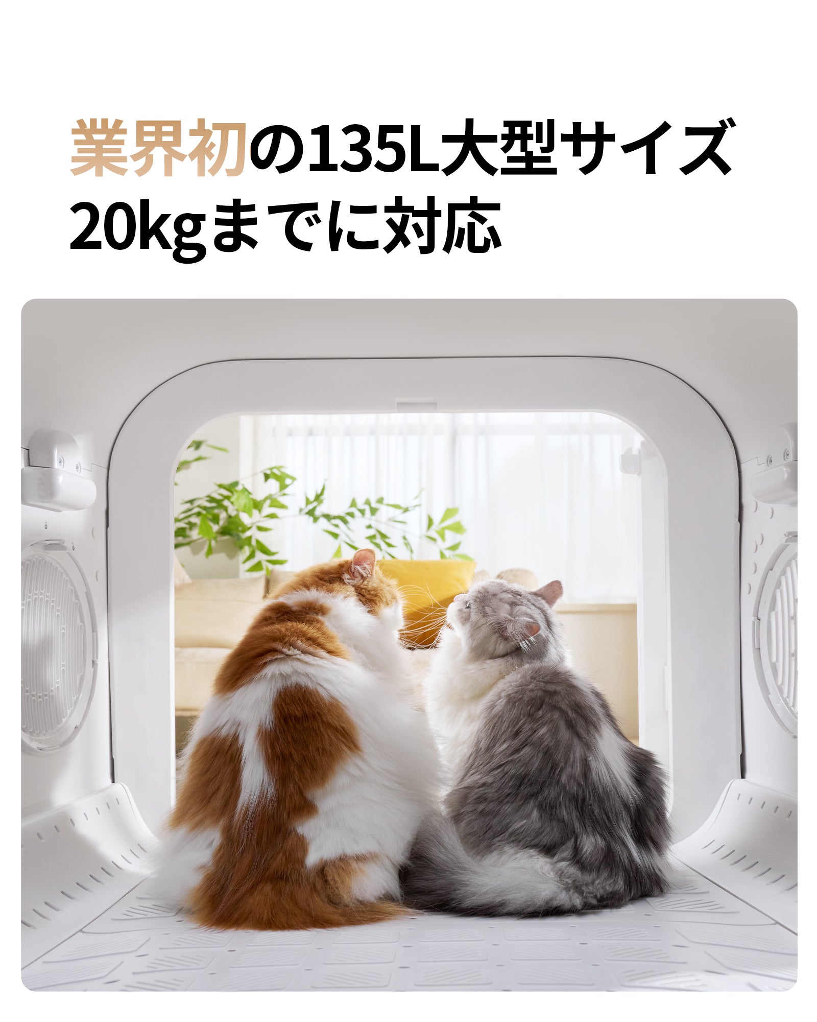 業界初の135L】ペットドライヤーハウス Drybo Ultra 20kgまでの中小型