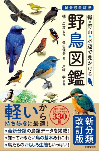 日本の野鳥セット ペーパーブック版 日本の野鳥セット ペーパーブック版