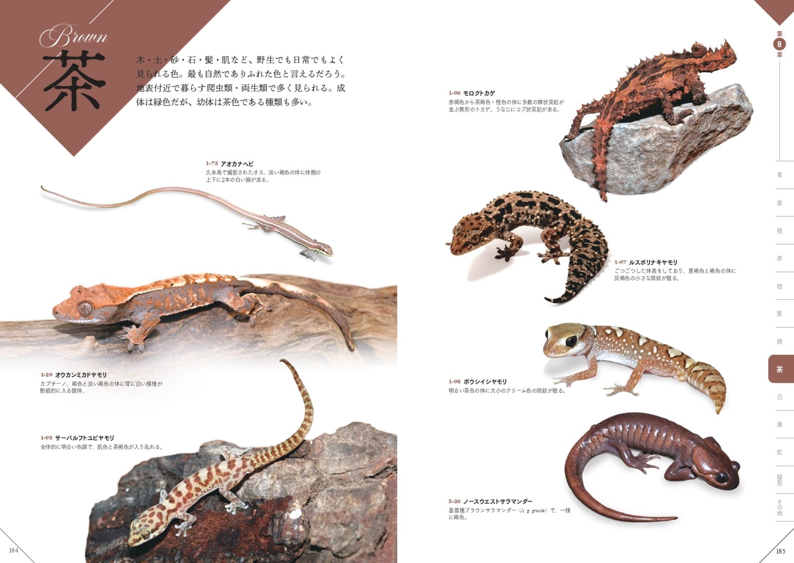色彩別爬虫類・両生類図鑑 - 株式会社カンゼン