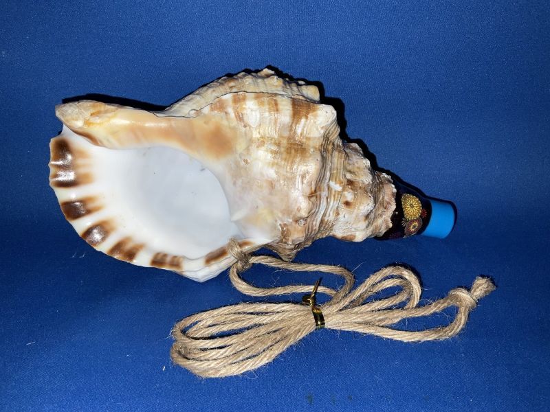 大型38.5㎝修験道法螺貝 山伏 密教 魔除け 熊よけ❣️ほら貝 ホラガイ