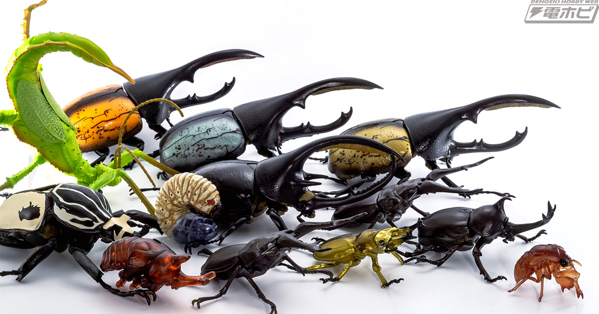 くじを引けばそこは企画展示室！「一番くじ昆虫 世界の昆虫博物館