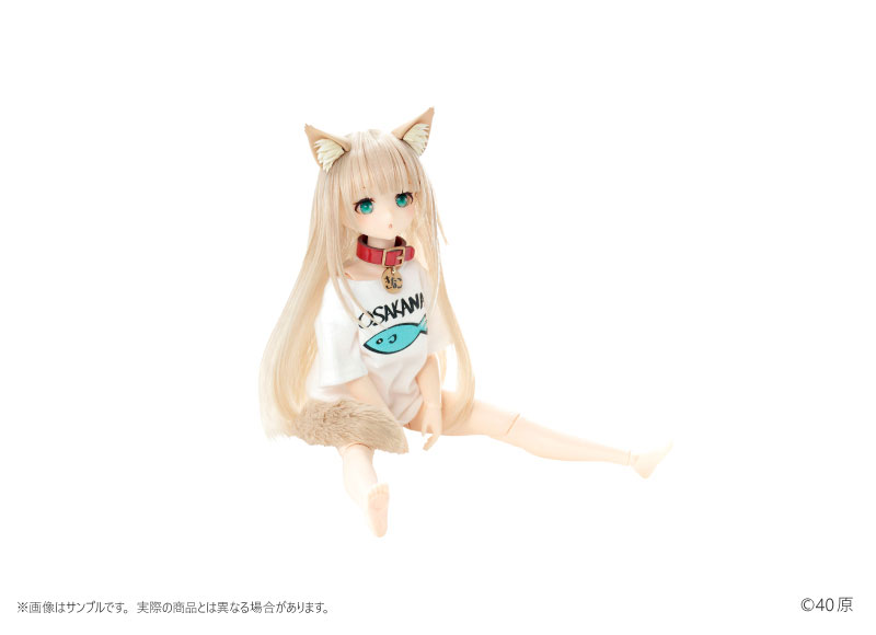 40原氏が展開する『うちのねこが女の子でかわいい』のきなこが1/6