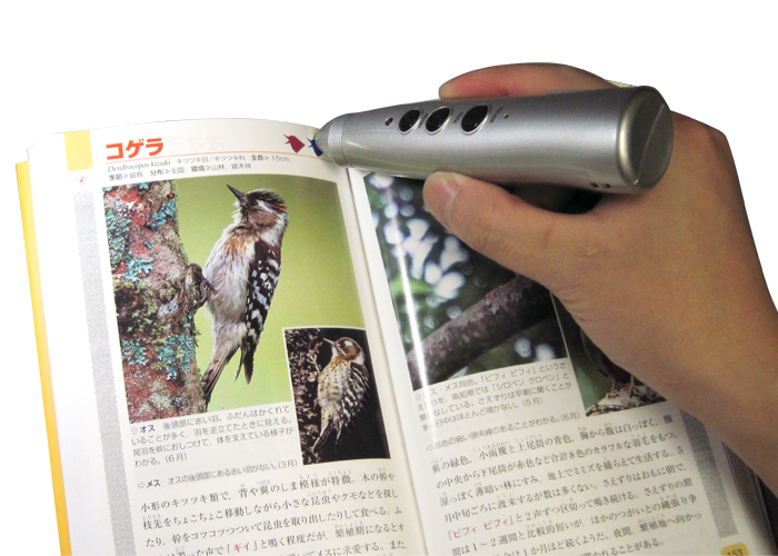 夏鳥シーズンに備えて、野鳥の声を予習しませんか？: 営業日は毎日更新