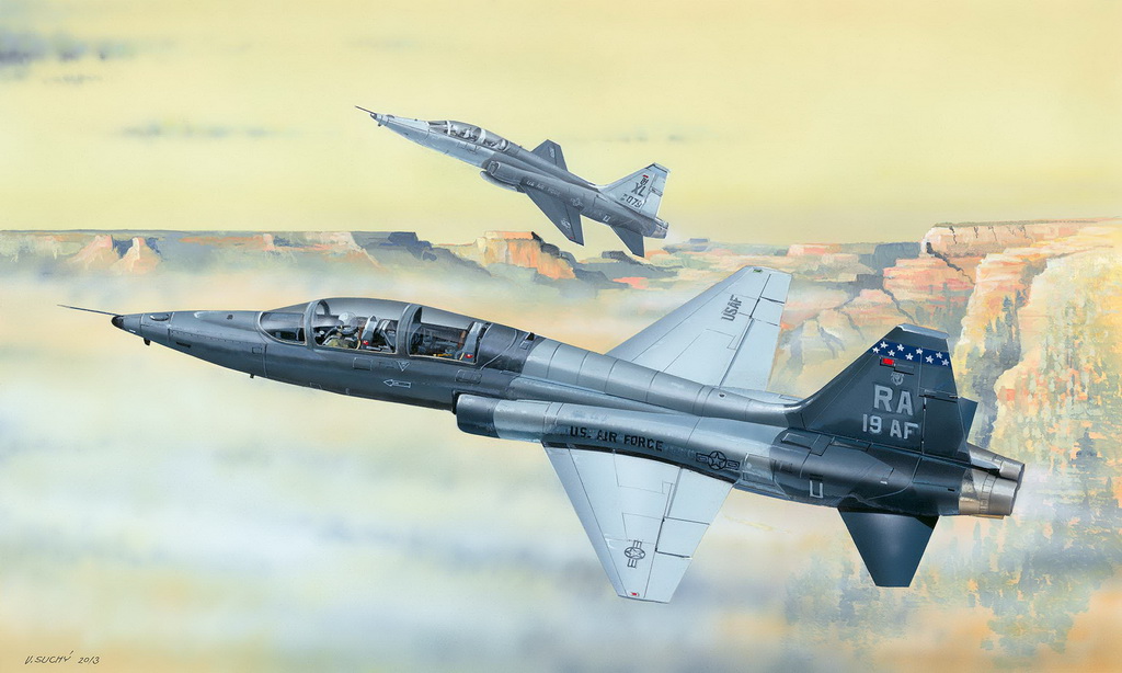 1/48 アメリカ空軍高等練習機 T-38C タロン [02877] - 4,224円