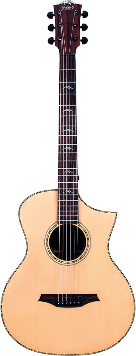 Bromo Guitars BAR5CE ブロモギター Amazon.com: Bromo BAR 5CE All