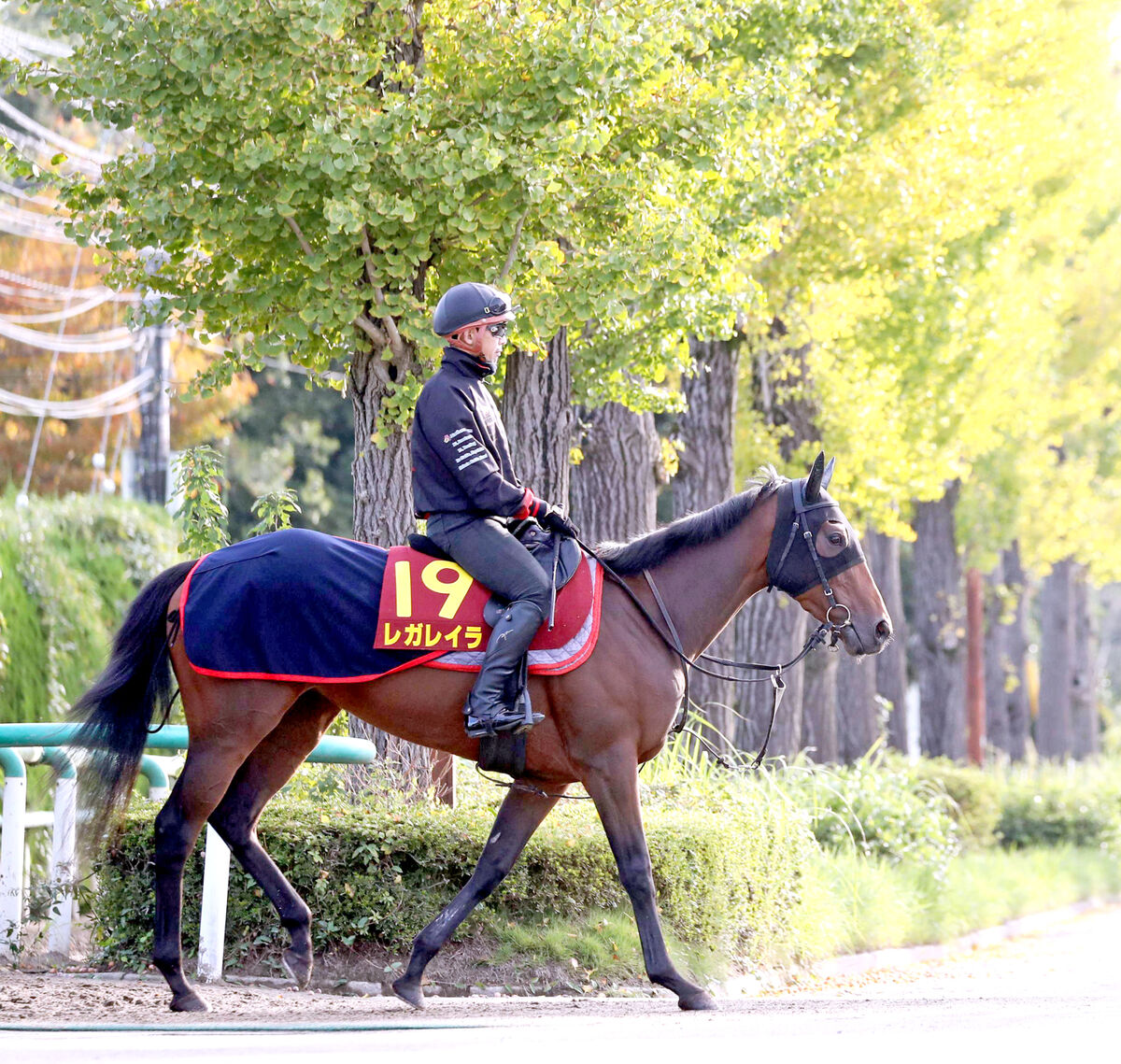 第30回エリザベス女王杯スイープトウショウ競馬アイドルホースウマ娘
