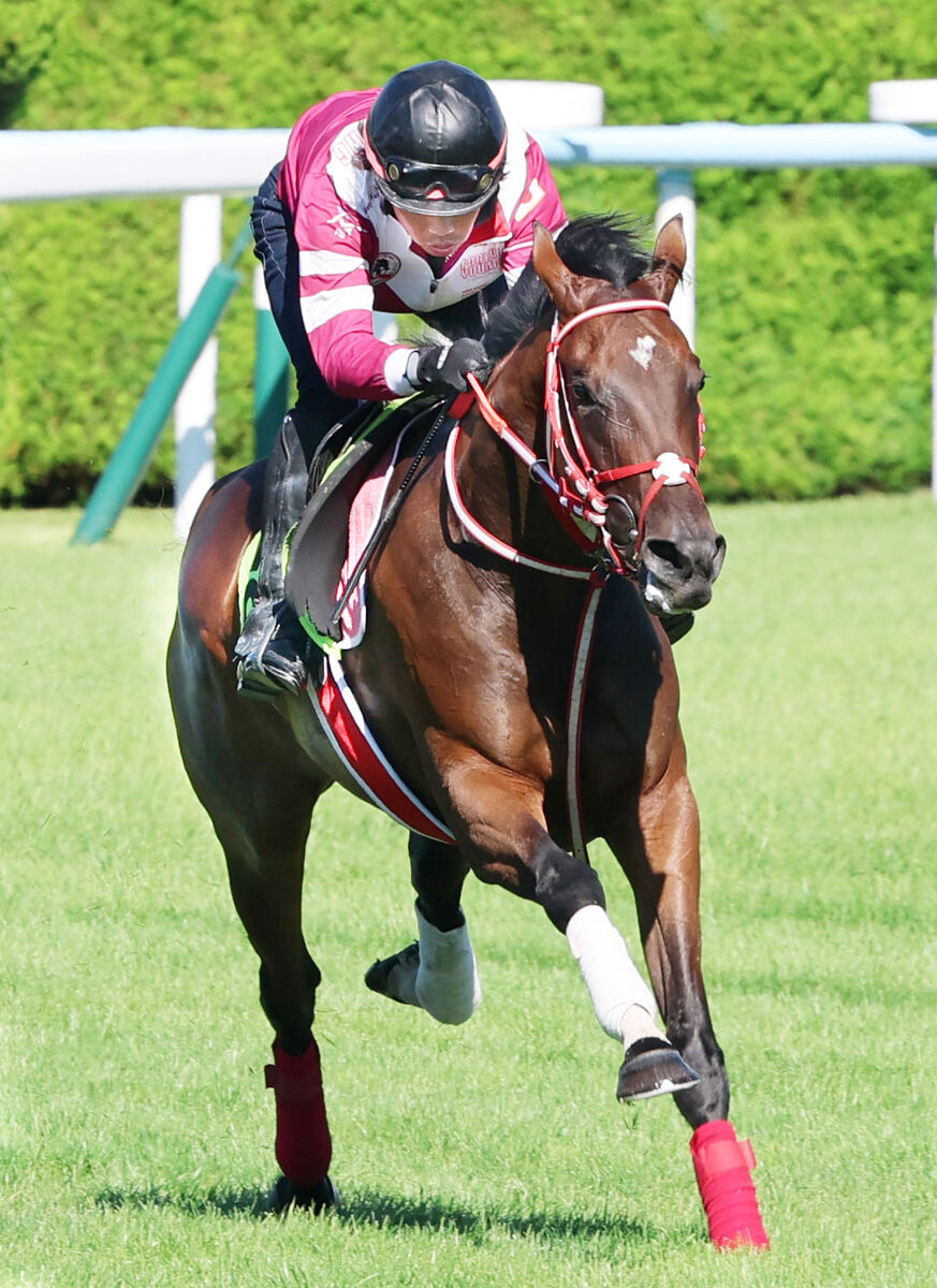 POG】矢作厩舎のコントレイル産駒が始動 ジーティーメティオに指揮