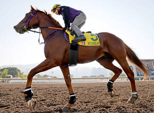 2歳新馬評価】マイル対応サトノダイヤモンドの一番星 ダイヤモンド