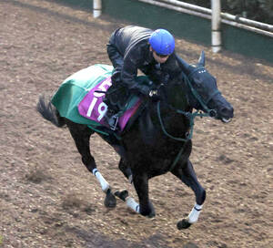 ジャパンカップ1984「カツラギエースの奇跡」〈1〉「日本馬が勝っ