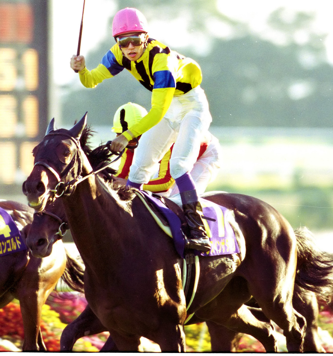 ダンスインザダーク死す、96年武豊と菊花賞制覇 種牡馬でもG1馬