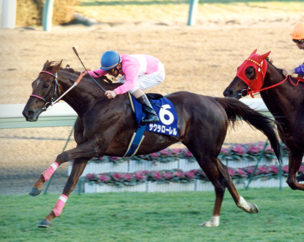 競馬 サクラローレル 有馬記念優勝記念スカジャン Amazon.co.jp: 競馬