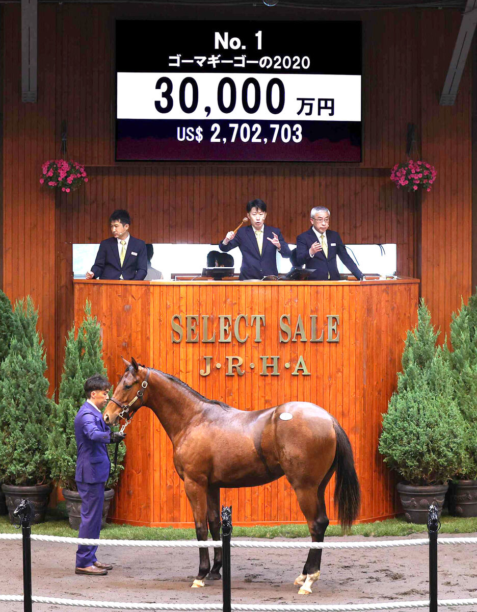 期限切れ単勝馬券】新馬競走 ディープインパクト Yahoo!オークション