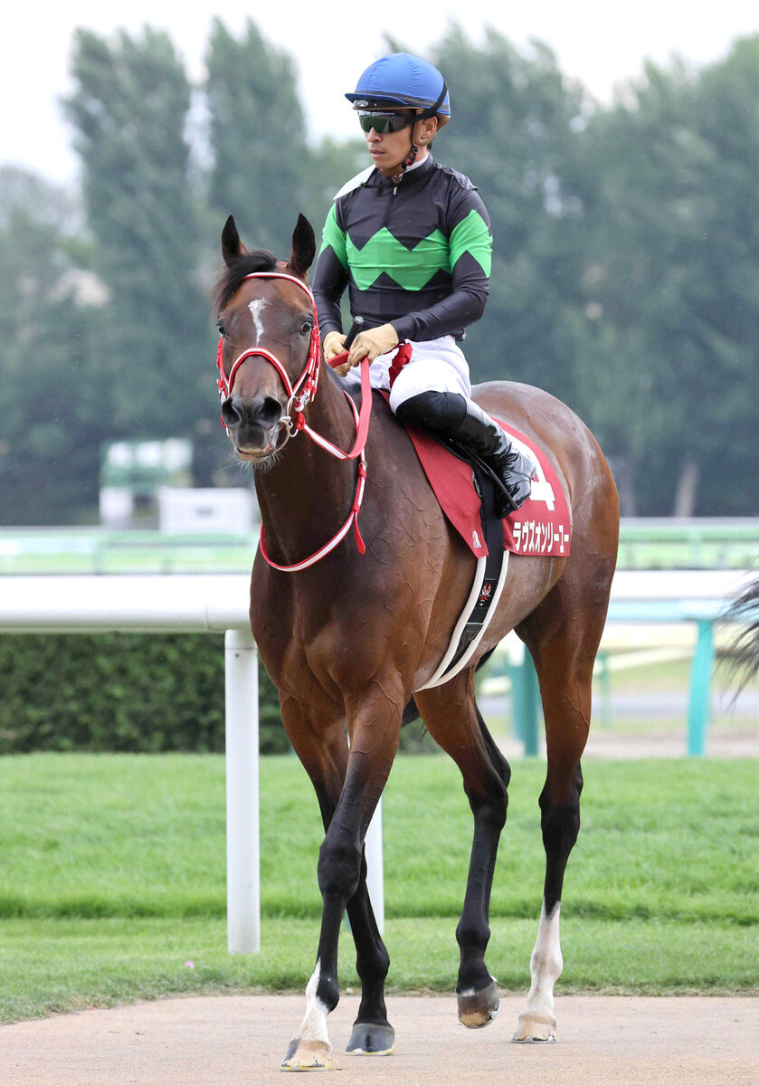 稀少新品】ラヴズオンリーユー マルシュロレーヌ 記念ブルゾン