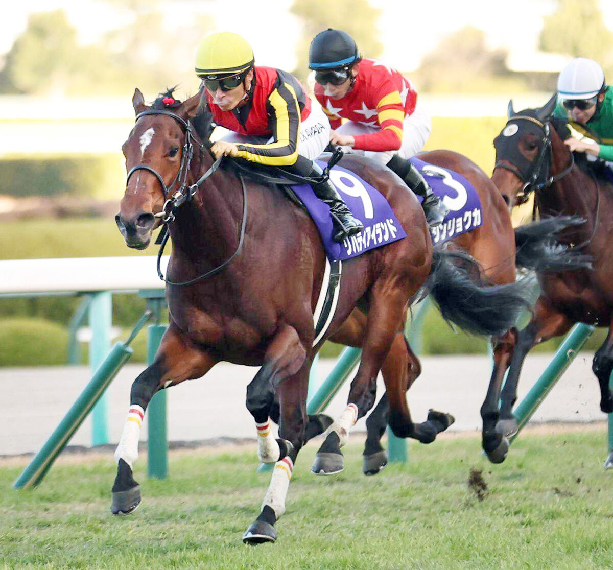 桜花賞】リバティアイランドが阪神JFで見せつけた強さ V時計1分