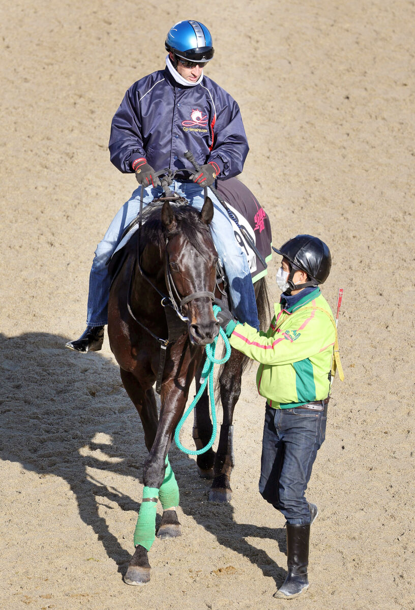 天皇賞・春】ジャスティンパレスG1初制覇へ 陣営「変わらず具合は