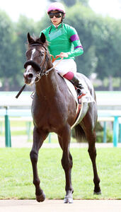 札幌2歳S】セットアップはここを照準に万全の態勢 陣営「完成度が