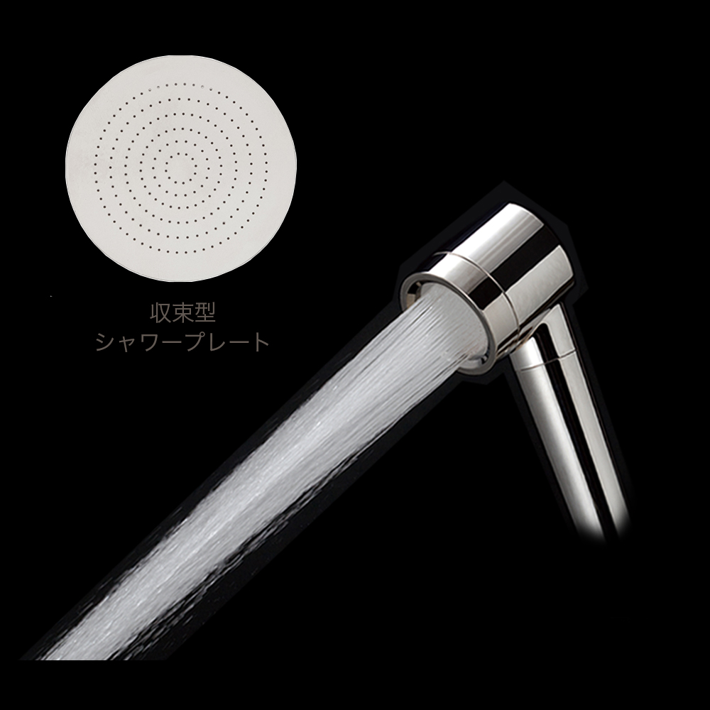 ホリスティック キュア シャワーヘッド シルバー / ホリスティック