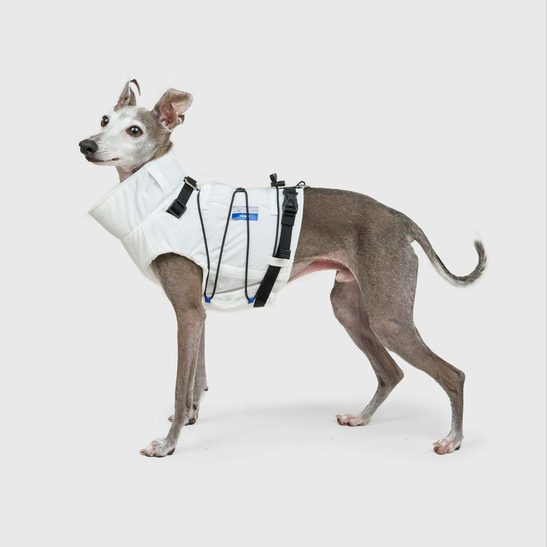 FRAME-X ADV HARNESS | Howly | 収納ポケット付ウェアハーネス｜撥水