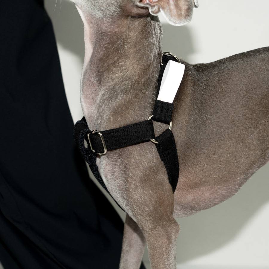 HOWLY UNIVERSAL HARNESS | Howly | シンプルで洗練されたドッグ