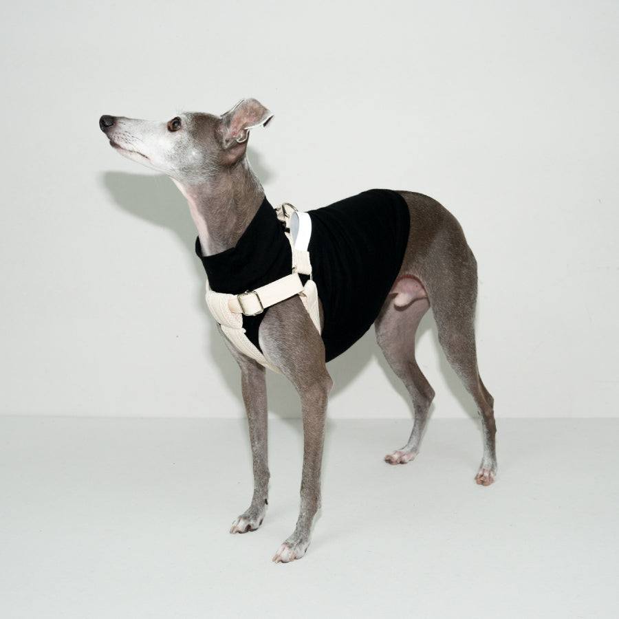 HOWLY UNIVERSAL HARNESS | Howly | シンプルで洗練されたドッグ