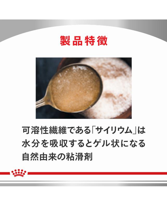 ロイヤルカナン 〈猫用〉 消化器サポート（可溶性繊維）2kg