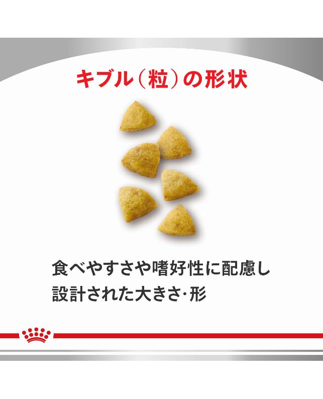 ロイヤルカナン 〈猫用〉 低分子プロテイン 500g（3182550710930