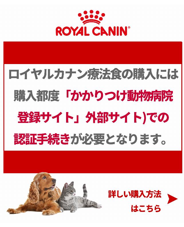 ロイヤルカナン 〈犬用〉 腎臓サポート 8kg（3182550716338