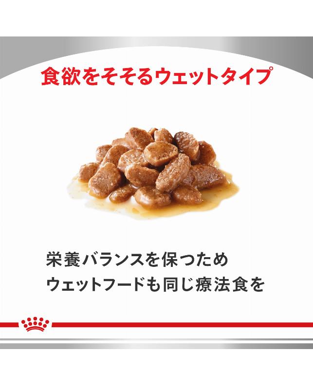 ロイヤルカナン 〈猫用〉 消化器サポート 2kg（3182550716451