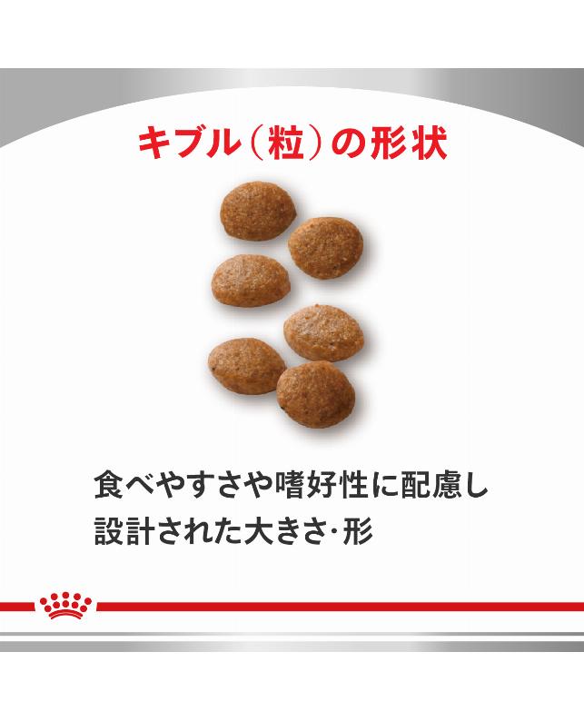 ロイヤルカナン 〈猫用〉 ユリナリーS／Oオルファクトリー 4kg