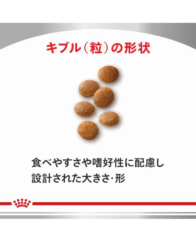 ロイヤルカナン 〈猫用〉 ユリナリーS／O 500g（3182550901376