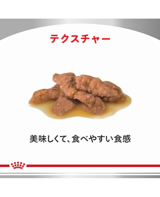 ロイヤルカナン Dライン 〈猫用〉 ユリナリーS/O ＋CLT 85gx24個