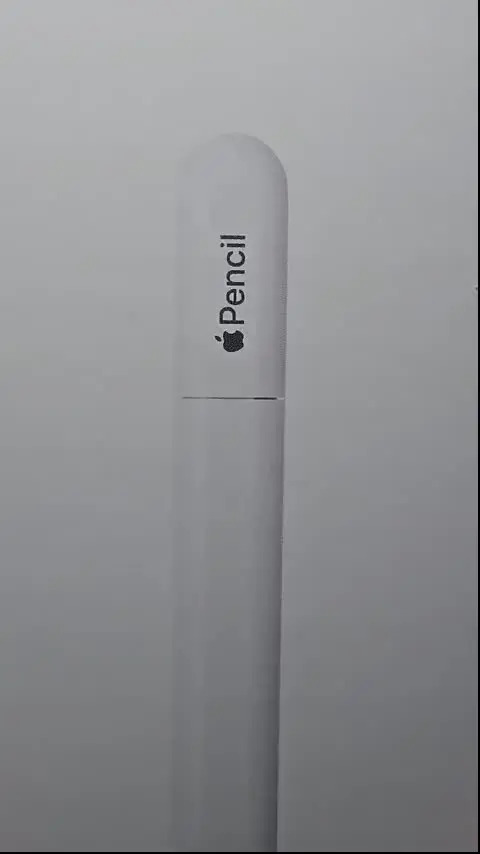 Apple Pencil Usb-c Original Lacrada Garantia 1 Ano A3085 New