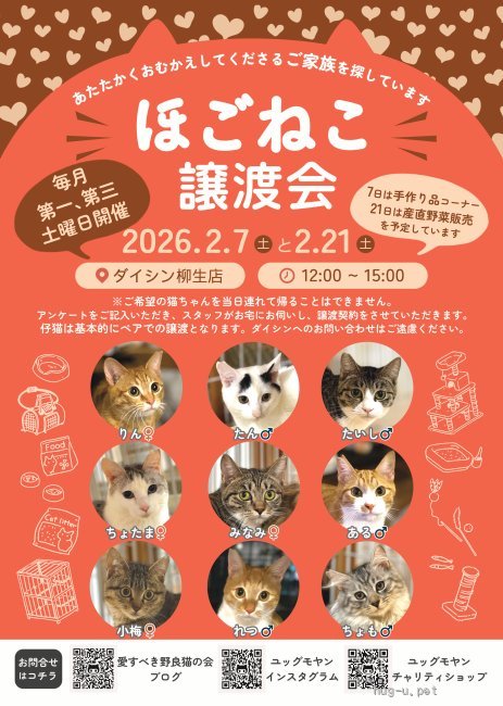 譲渡会 ほごねこ譲渡会(宮城県)｜ハグー -みんなのペット里親情報