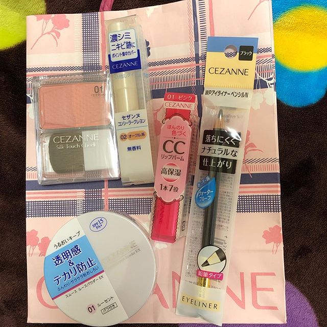 ヨドバシ『ポータブル電源＋ソーラーパネルの夢』福袋[2026]の中身を